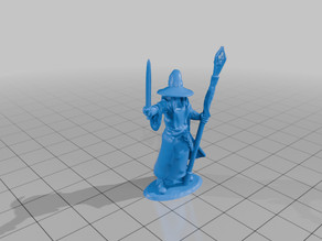 Grey Wizard 3D model