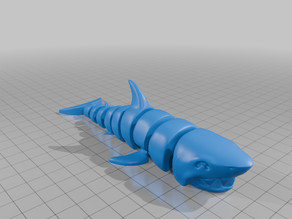 Shark 3D model