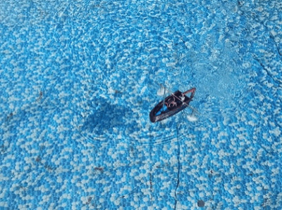 Cheap RC boat 3D model