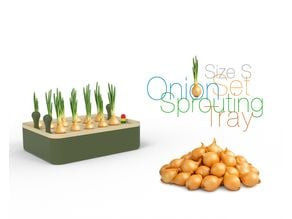 Onion Set Sprouting Tray Size S 3D model