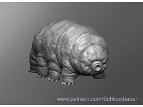 Water Bear 3D model