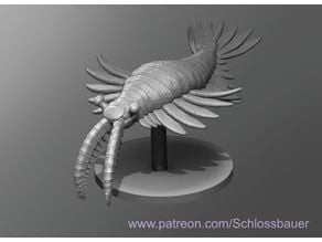 Anomalocaris 3D model