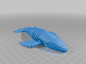 Blue Whale 3D model