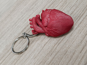  Anatomical Heart Keychain 3D model