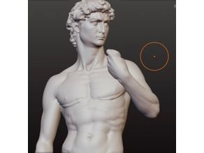 Transgender David 3D model