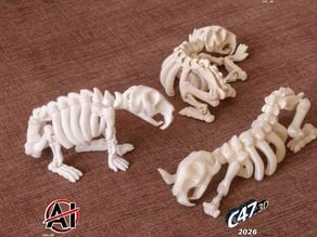 Flexi Capybara Skeleton 3D model