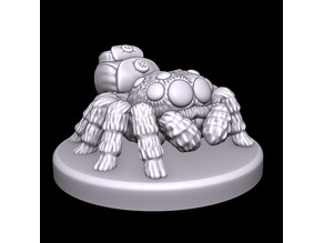 Jumping Spider 3D model