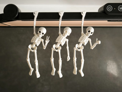 Hanging Skeleton Buddy 3D model