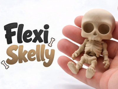 Flexi Skelly 3D model
