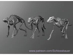 Wolf skeleton 3D model