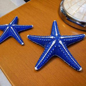 Cute Starfish 3D model