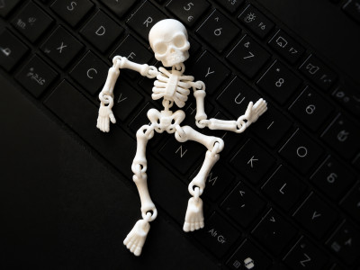 Flexi skeleton. Fast and easy print 3D model