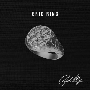 Grid Ring 3D model
