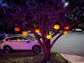 Solar Hanging Pumpkins 3D model
