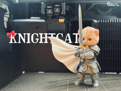 「趣玩」小猫骑士 KNIGHTCAT 摆件 3D model