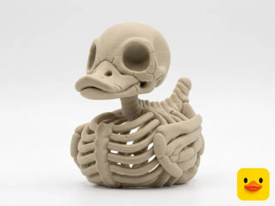 Hollow Skeleton Duck 3D model