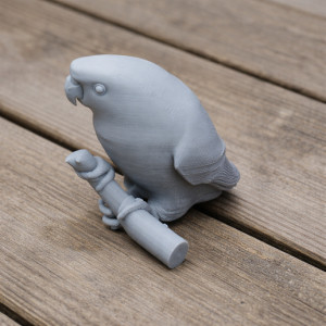 Barred parakeet 3D model