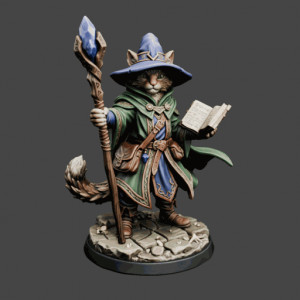 Kitty Cat Sorcerer Miniature 3D model