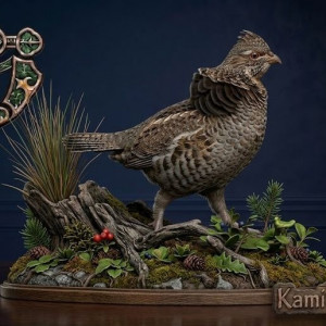 American Ruffed Grouse 3D model