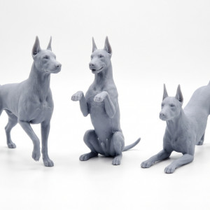 Doberman – Three Playful Poses 3D model