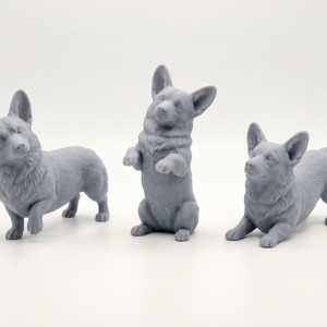 Corgi – Three Playful Poses 3D model