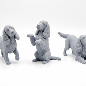 Cocker Spaniel – Three Playful Poses 3D model