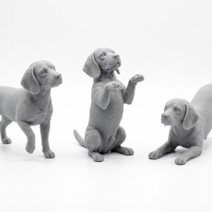 Beagle – Three Playful Poses 3D model