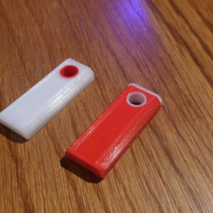 Coges key 3D model
