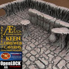 AECAVE02-D - Keen Direweb Caverns 3D model