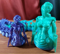 Flexy Naga 3D model