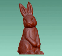 Bunny Rabbit 3D model