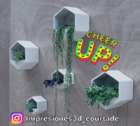 Macetas para Pared 3D model