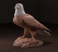 Bald Eagle 3D model