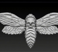 Death's Head Hawk Moth 3D model