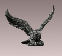 Crow 3D model