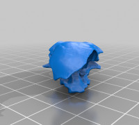Mouse skull（generated by Revopoint POP 2） 3D model