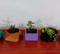 Pots x 5 - (Combo 1) 3D model