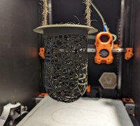Voronoi Bird Feeder 3D model