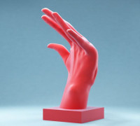 Hand 12: Stretched Back 3D model