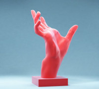 Hand 6: Horror Claw 3D model