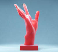 Hand 4: Stretched 3D model