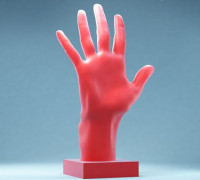 Hand 2: Standard 3D model