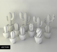 VECTARY Succulent Collection 3D model