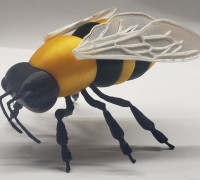 HoneyBee by 3DBuzzStudios 3D model