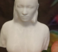 hot chick bust 3D model