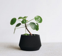 Planter 3D model
