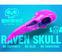 Boneheads: Raven - Skull Kit - PROMO - 3DKitbash.com 3D model