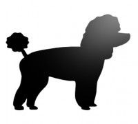 Poodle Wall Decor 3D model