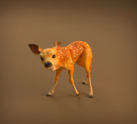 Fawn 3D model