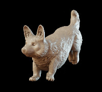 Corgi - leaping v2 3D model